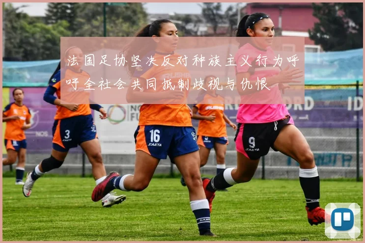 法国足协坚决反对种族主义行为呼吁全社会共同抵制歧视与仇恨